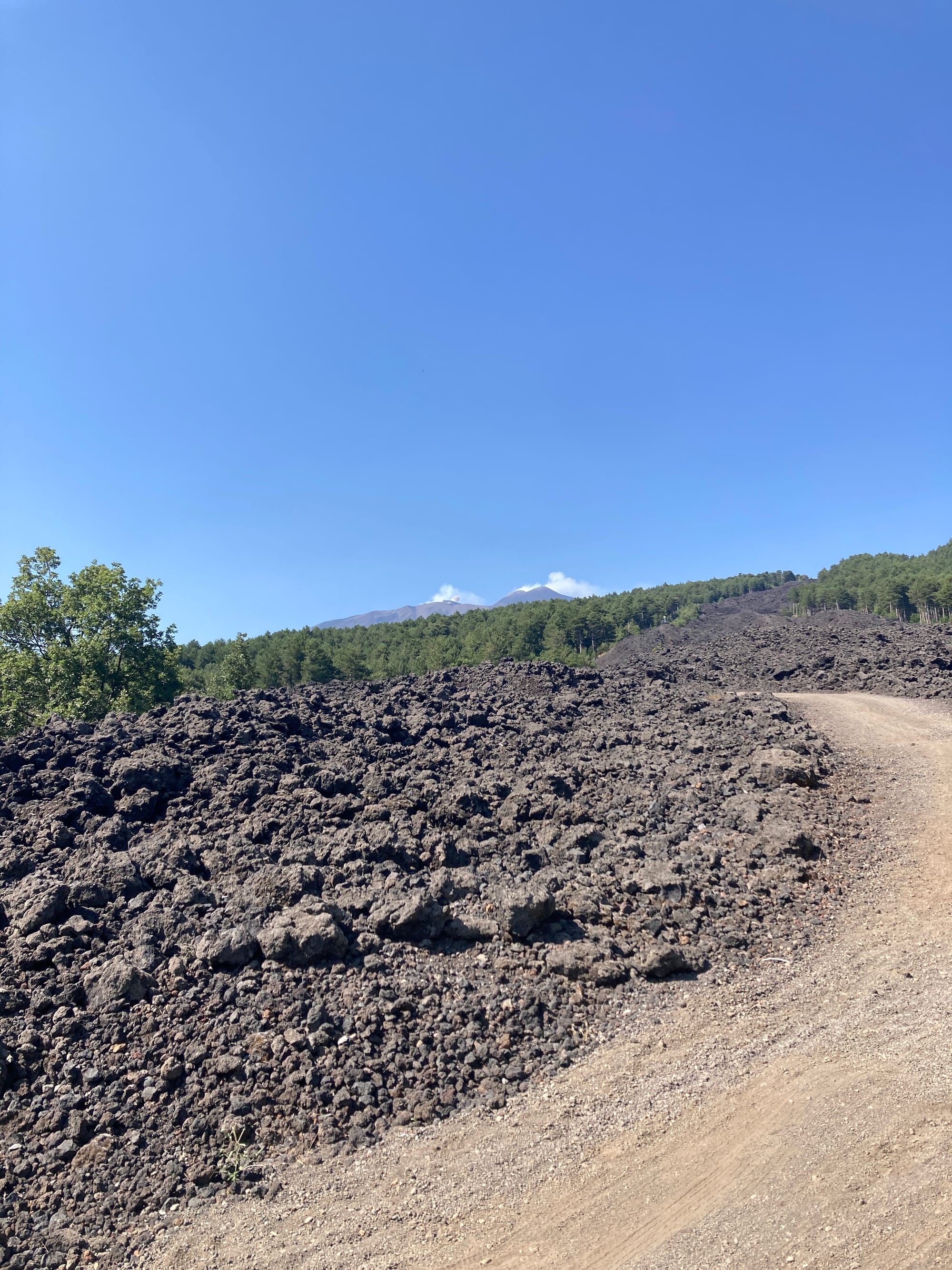 A Future Forged in Fire