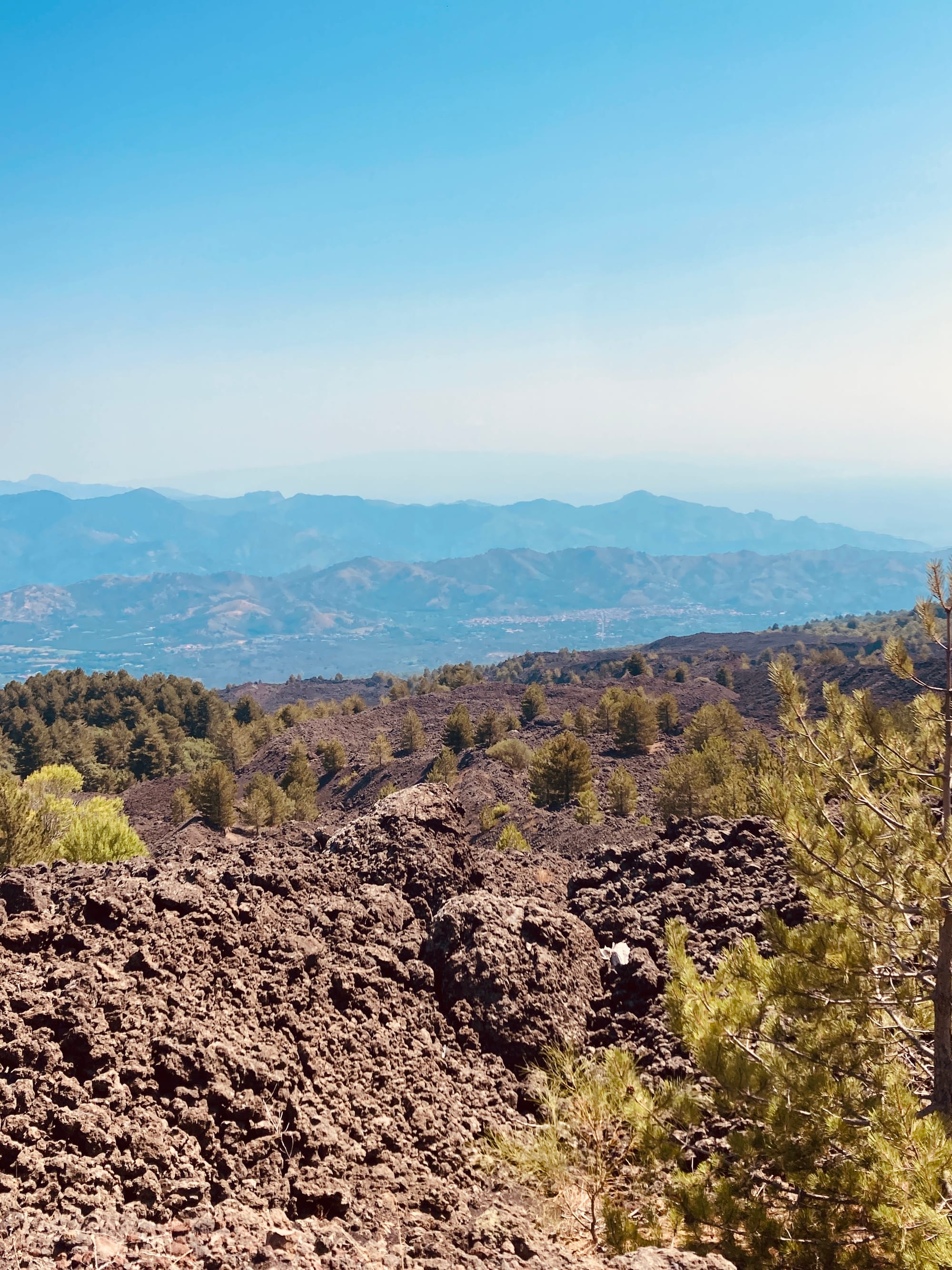 A Future Forged in Fire