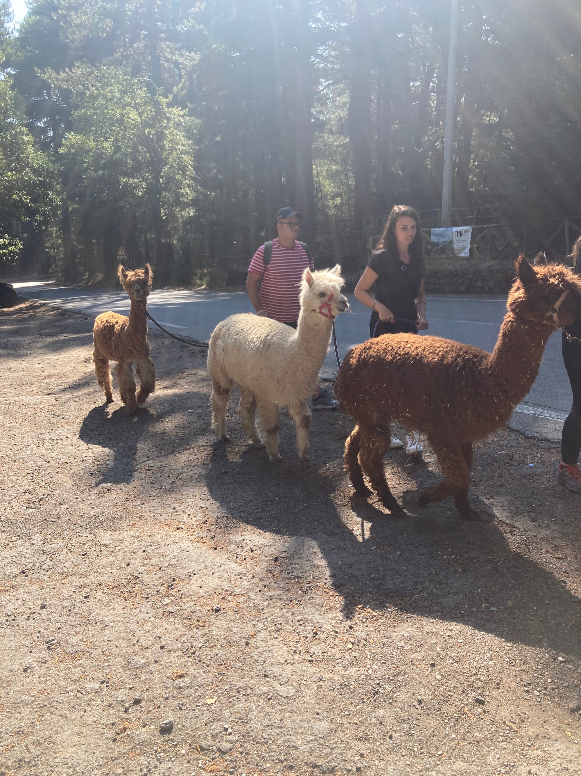 A Future Forged in Fire