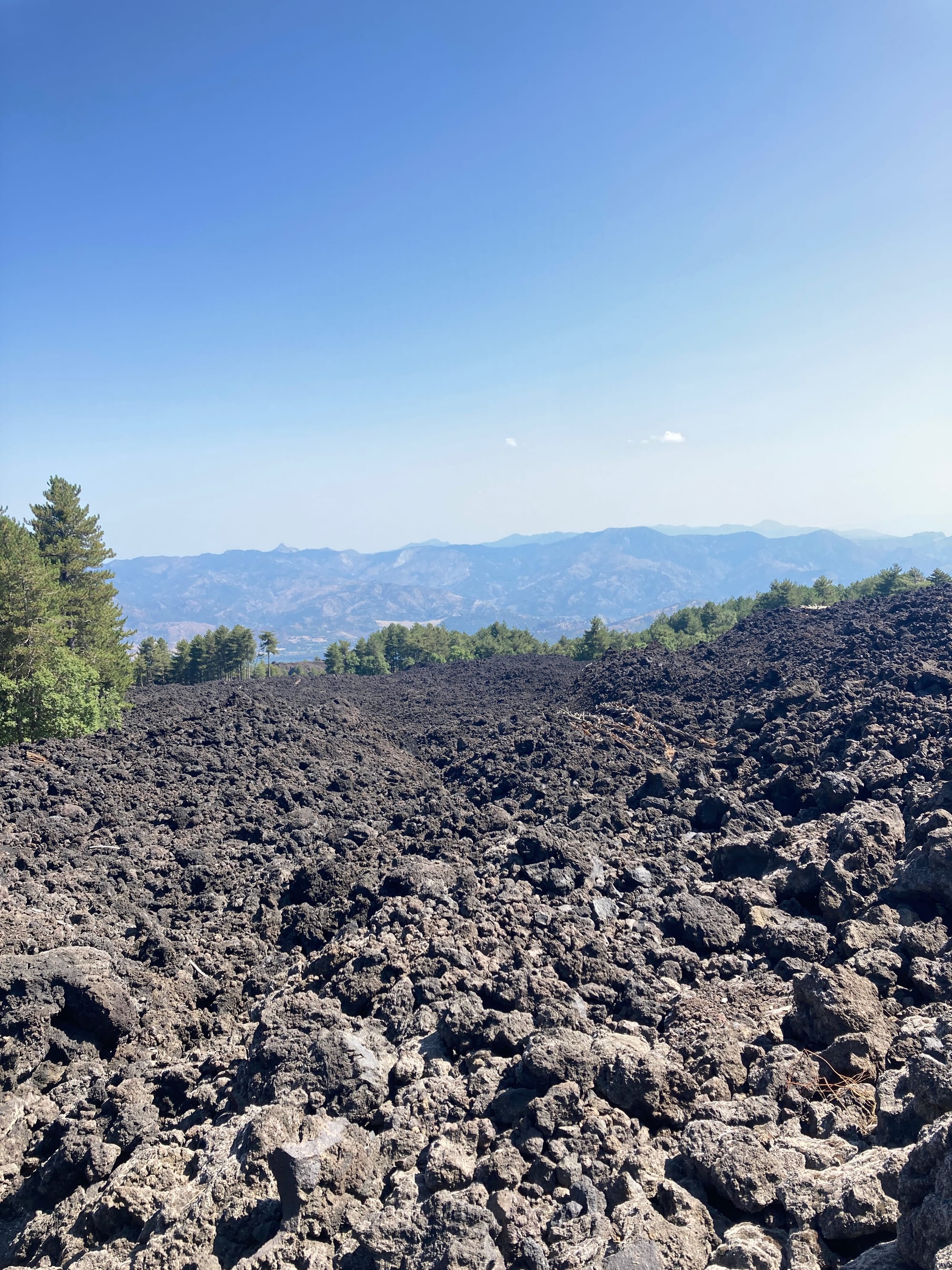 A Future Forged in Fire