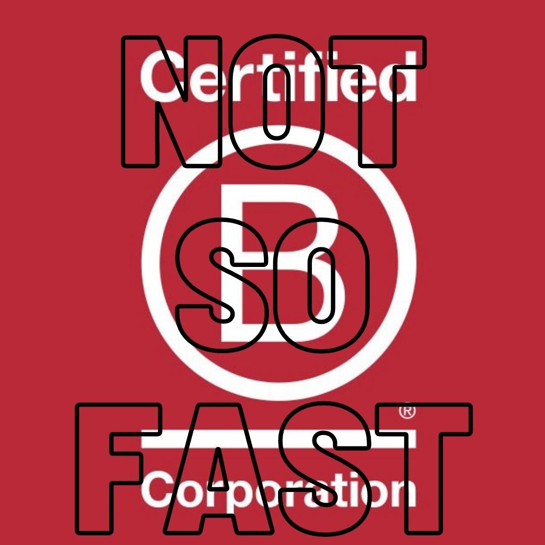 Is Changing the World for the Better in Need of a Reckoning?