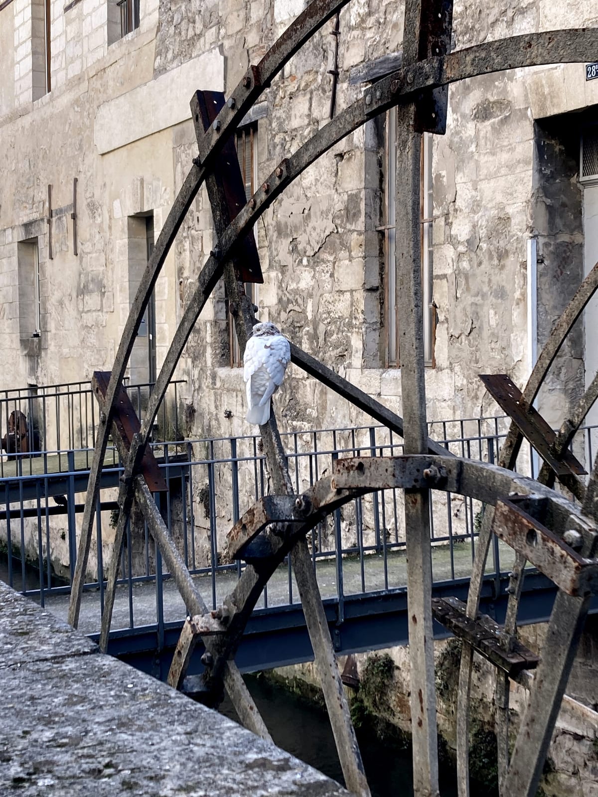 New Year's Rest-olutions